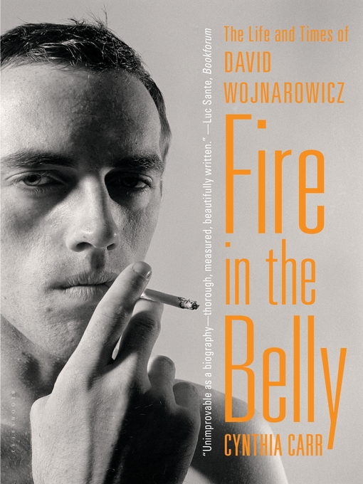Title details for Fire in the Belly by Cynthia Carr - Available